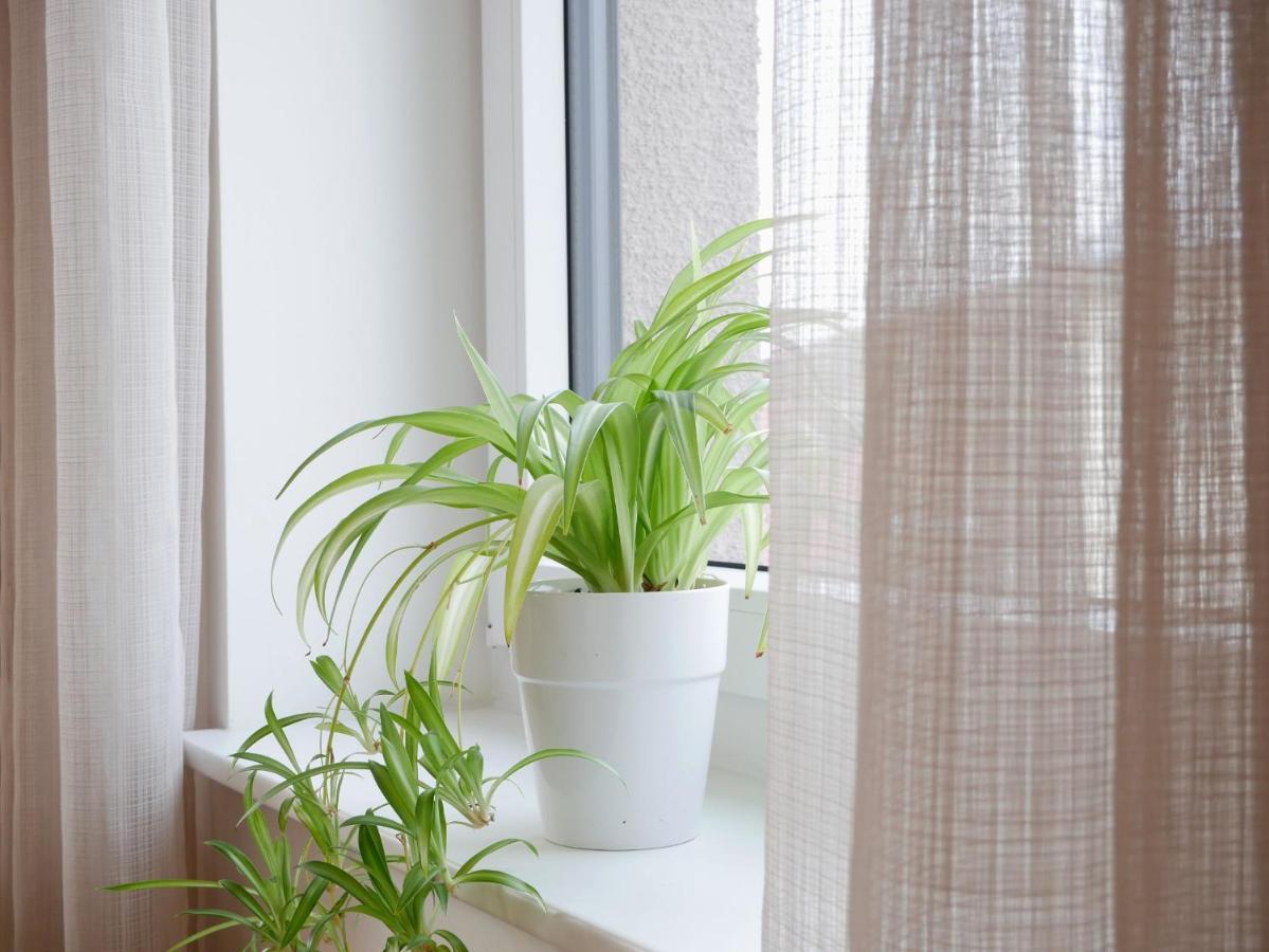 ווגטסבורג Ferienhaus Dorfleben מראה חיצוני תמונה